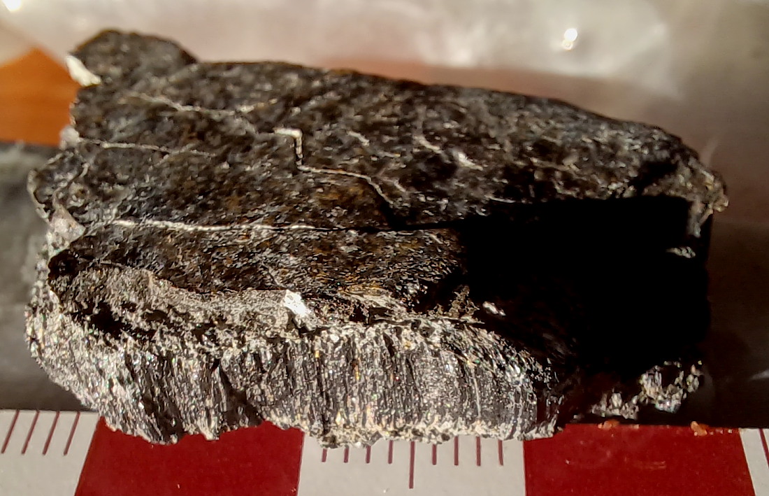 thucholite [245 kb]