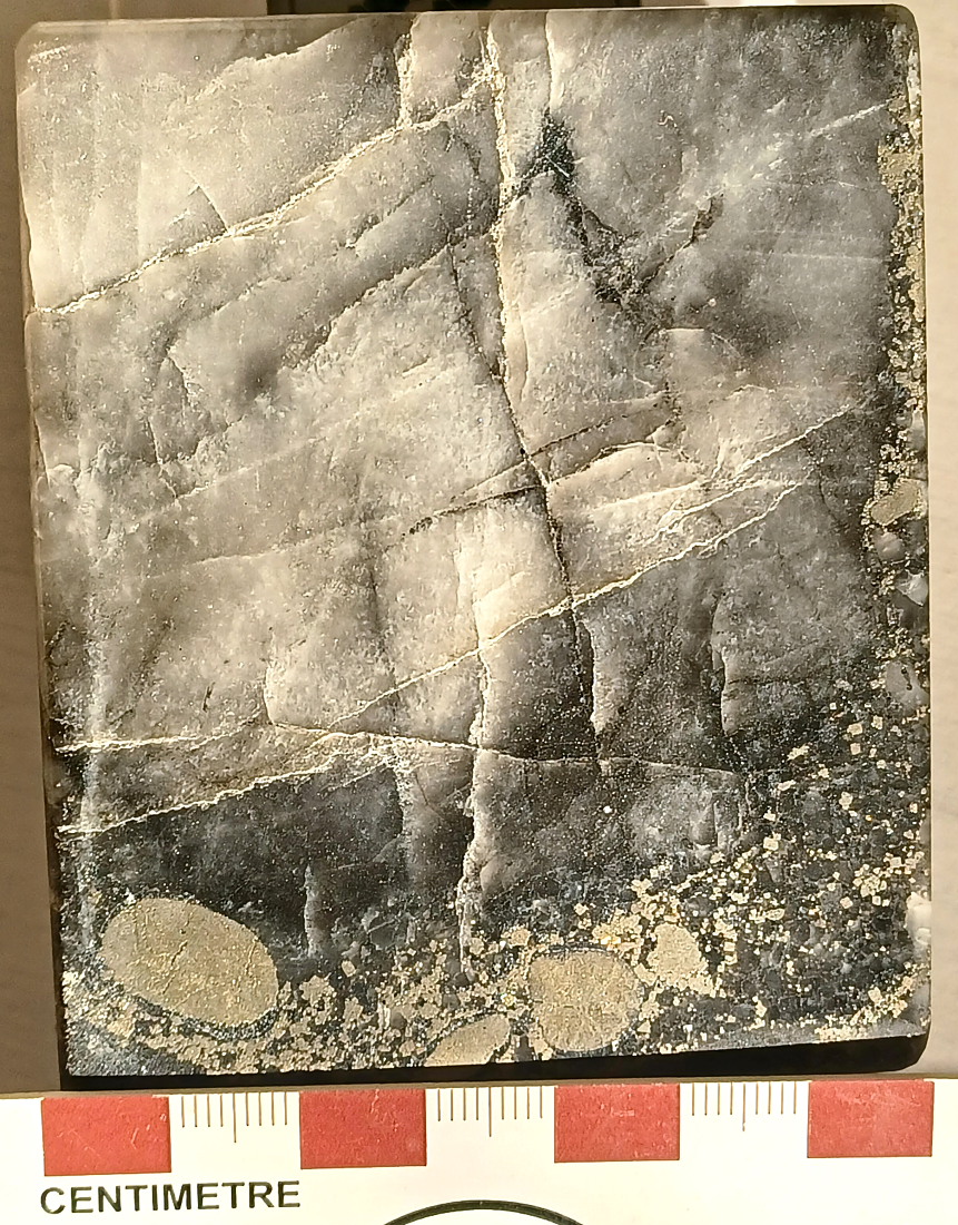 QPC slab [440 kb]