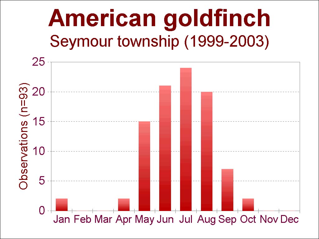 goldfinch sightings [95 kb]