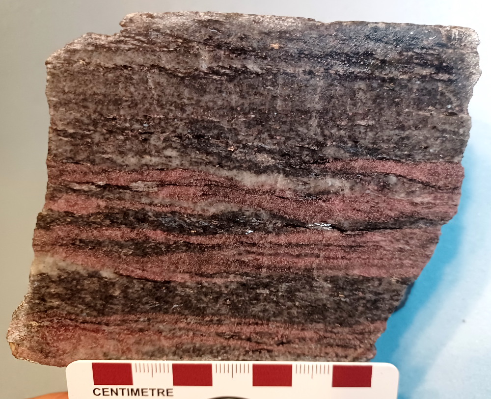 sample 6 / 3492 [294 kb]