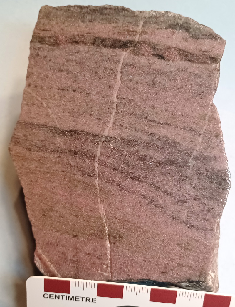 sample 7 / 3493 [259 kb]