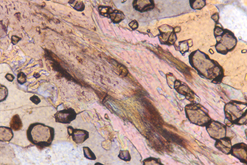 sample 7 / 3493 [424 kb]