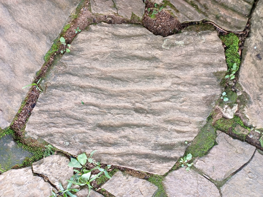 wave ripples [381 kb]