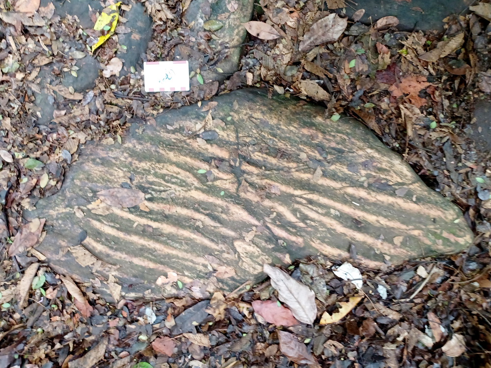 wave ripples [375 kb]