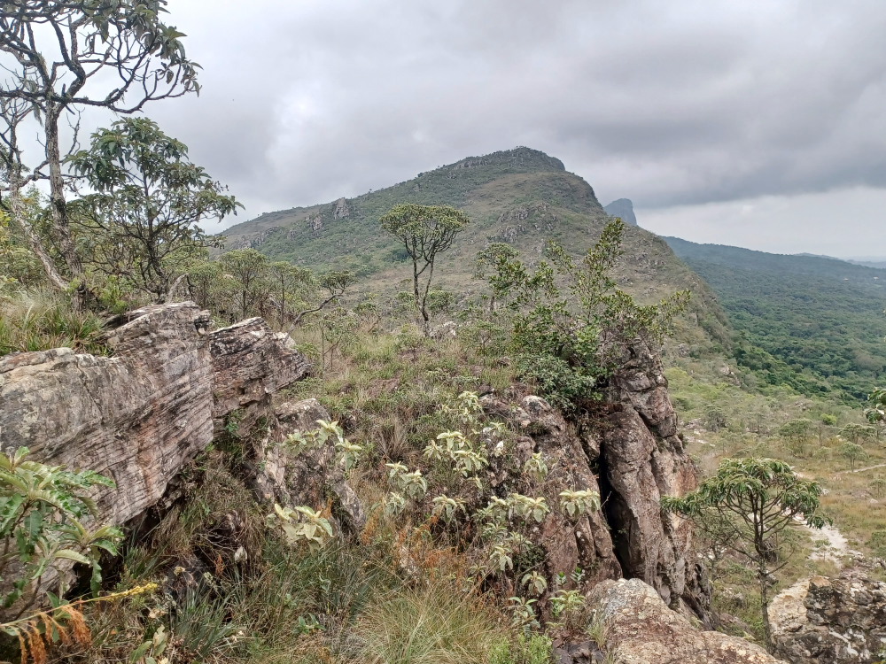 scenery along the ridge [360 kb]