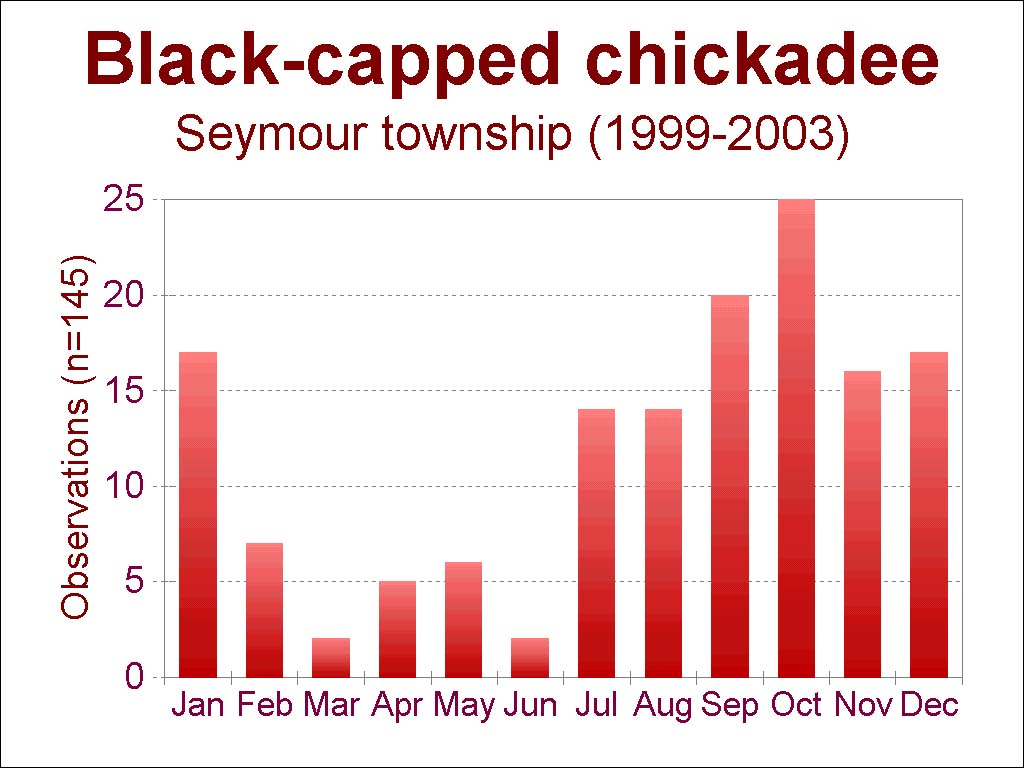 chickadee sightings [103 kb]