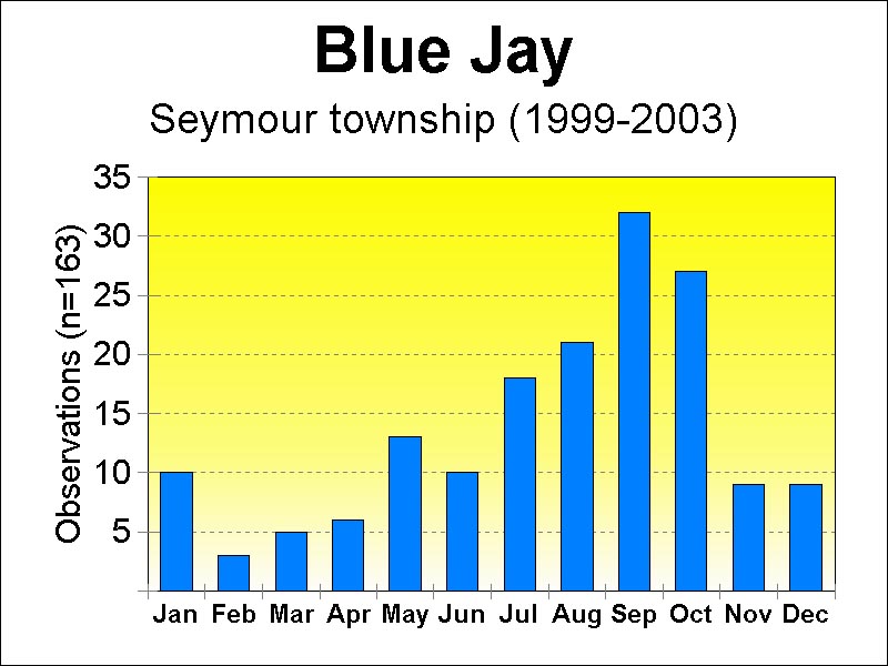 blue jay [75 kb]