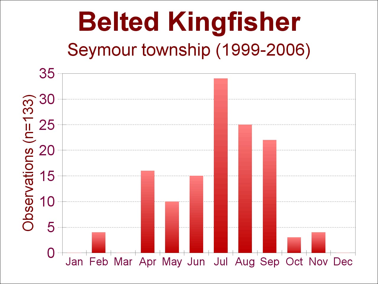 belted kingfisher sightings [132 kb]