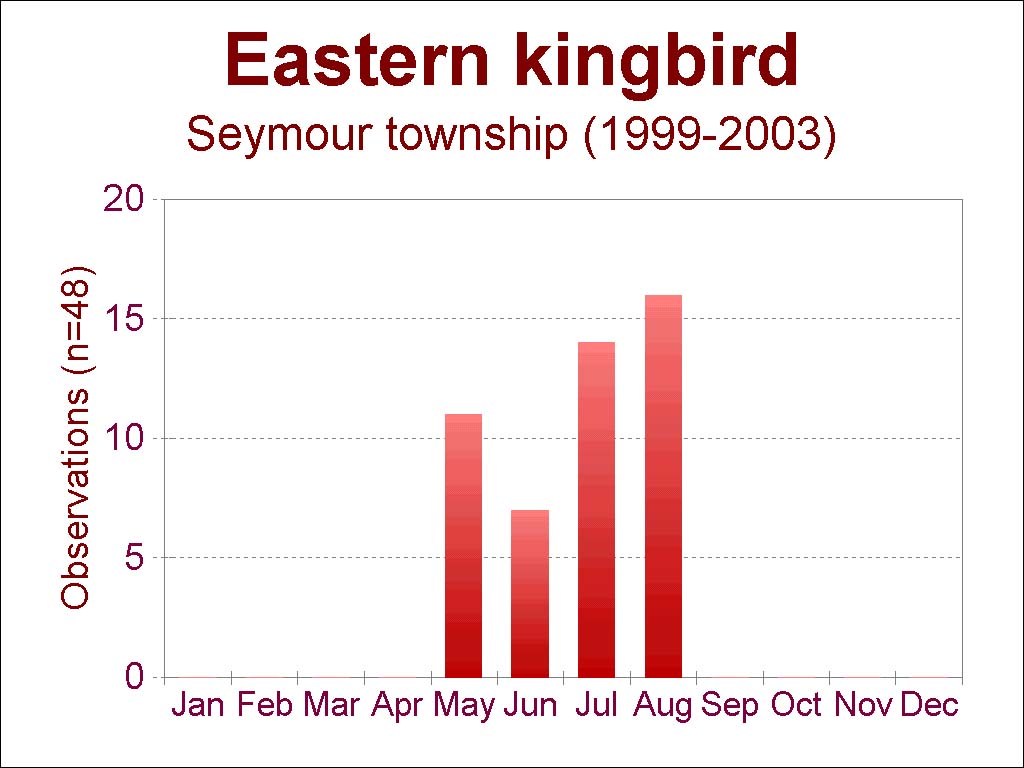 eastern kingbird sightings [85 kb]