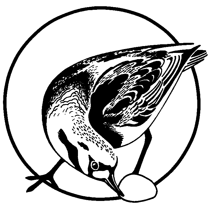 Turnstone's Logo [17 kb]