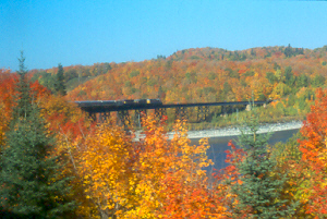 Agawa Canyon [70 kb]