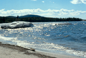 Shoreline at Neyes Park [59 kb]