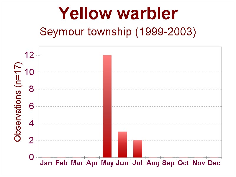 yellow warbler [67 kb]